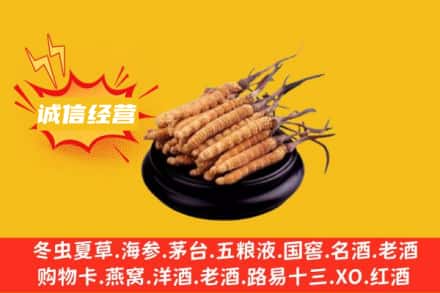 灵武市回收冬虫夏草